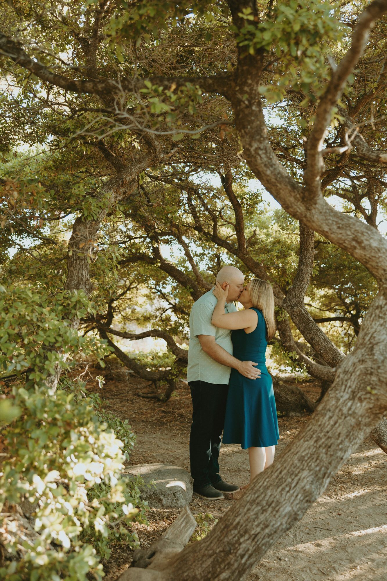 A kiss beneath the oak canopy, framed by branches